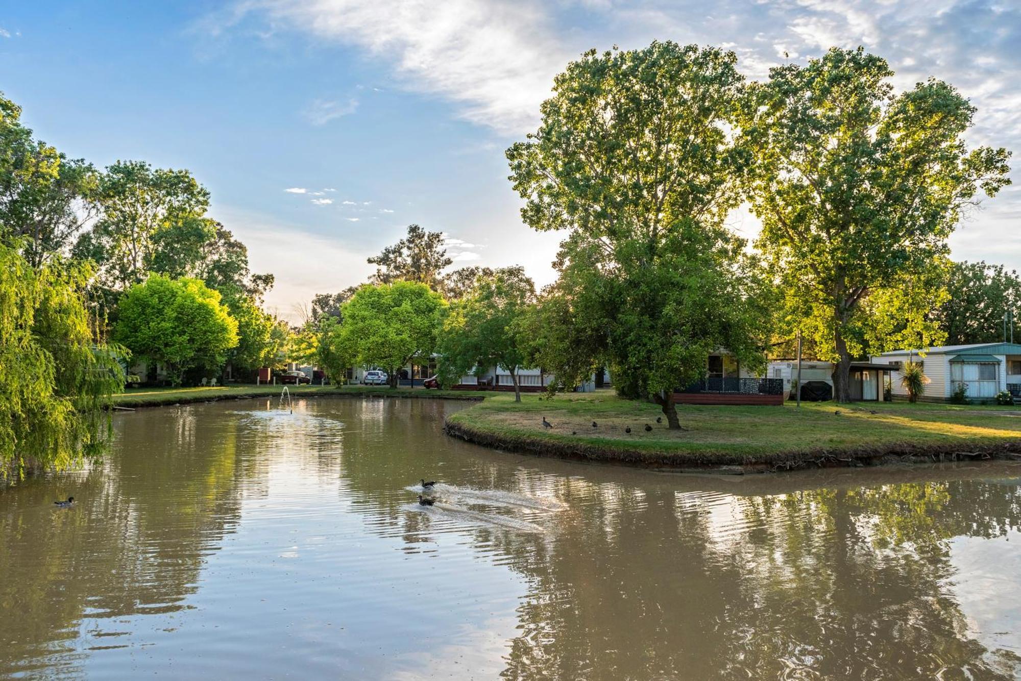 Discovery Parks - Maidens Inn Moama Εξωτερικό φωτογραφία